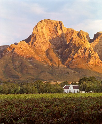 Boschendal Manor House and vineyards in the Groot Drakenstein Valley Franschhoek South Africa Paarl WO