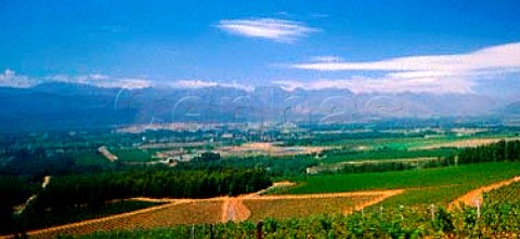 Plaisir de Merle vineyards Simondium  Cape Province South Africa Paarl WO