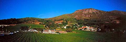 Grande Roche Hotel with Paarl Rock in background   Paarl Cape Province South Africa  Paarl WO