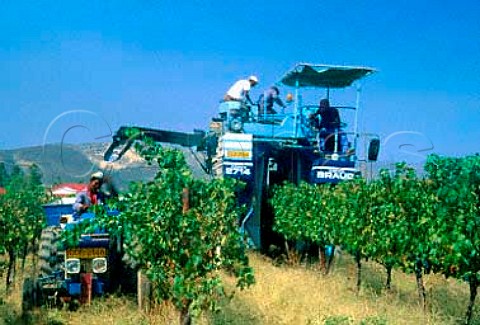 Mechanical harvesting of   Cabernet Sauvignon grapes at   Madeba Farm of Graham Beck Winery   Robertson South Africa