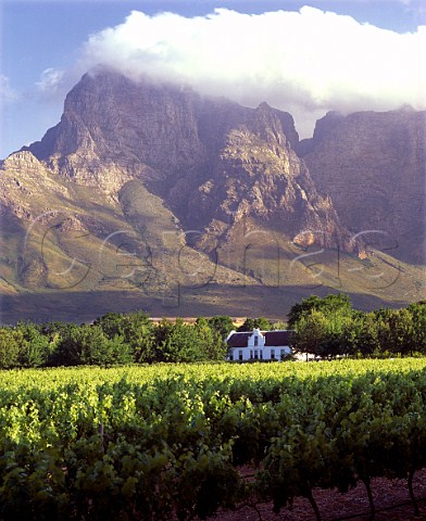 Boschendal Manor House and vineyards in the   Groot Drakenstein Valley Franschhoek   Cape Province South Africa  Paarl WO
