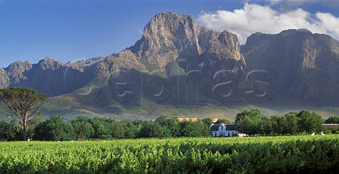 Boschendal Manor House and vineyards in the   Groot Drakenstein Valley Franschhoek   Cape Province South Africa   Paarl WO