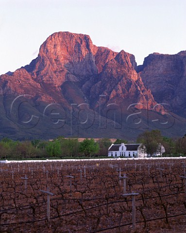 Boschendal Manor House and vineyards in the    Groot Drakenstein Valley Franschhoek    Cape Province South Africa   Paarl WO