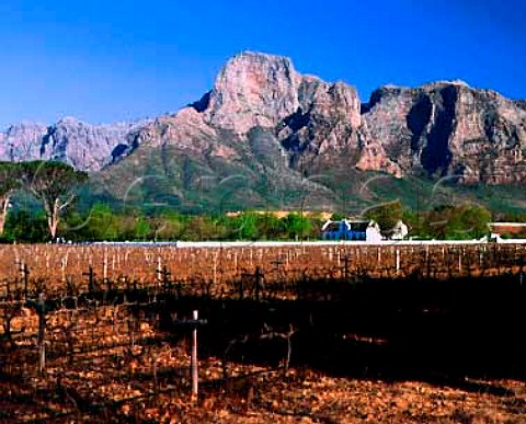 Boschendal Manor House and vineyards in the Groot   Drakenstein Valley  Franschhoek South Africa   Paarl WO