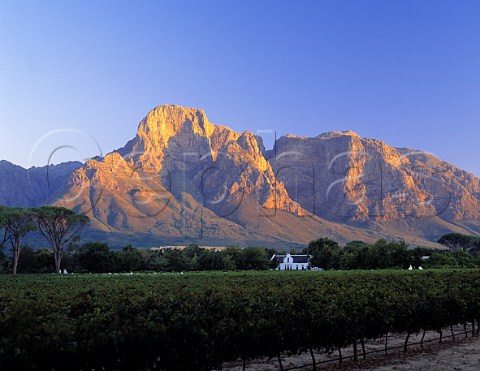 Boschendal Estate in the Groot Drakenstein Valley   Franschhoek Cape Province South Africa     Paarl WO