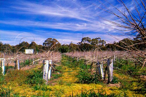 Blanch Barkley vineyard Kingower   Victoria Australia  Bendigo