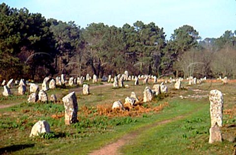 The standing stones at Carnac Brittany