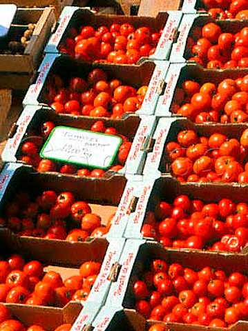 Tomatoes at a vegetable stall at Auray market in   Brittany