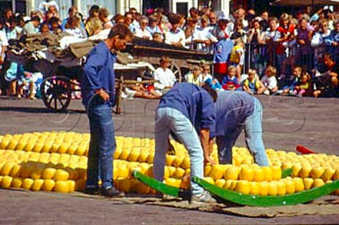 Rounds of cheese being loaded on to a   berrie a stretcher like bier prior to   the Cheese Race Alkmaar Netherlands