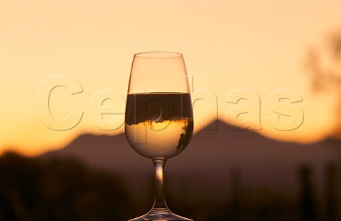 Glass of Cloudy Bay wine with the Richmond Ranges beyond   Marlborough New Zealand