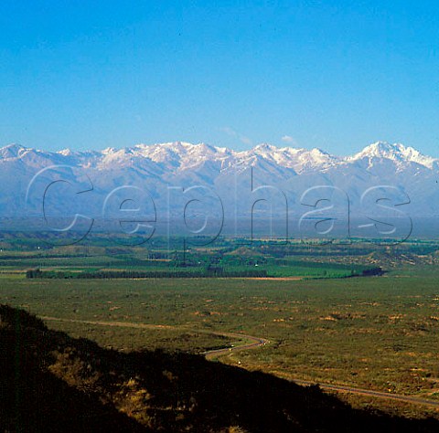 Vineyards in the Tupungato Valley with the Andes   beyond  Mendoza Argentina