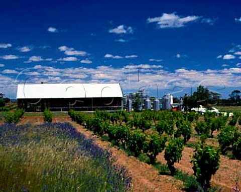Charles Melton Wines vineyard and winery Tanunda   South Australia Barossa Valley