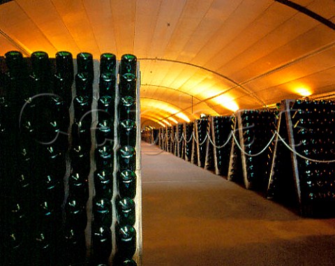 Sparkling wine in pupitres at Green Point   Lilydale Victoria Australia  Yarra Valley