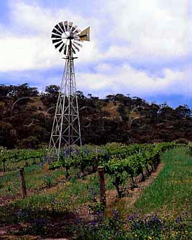 Water pump in Skillogalee Vineyards Sevenhill   South Australia Clare Valley