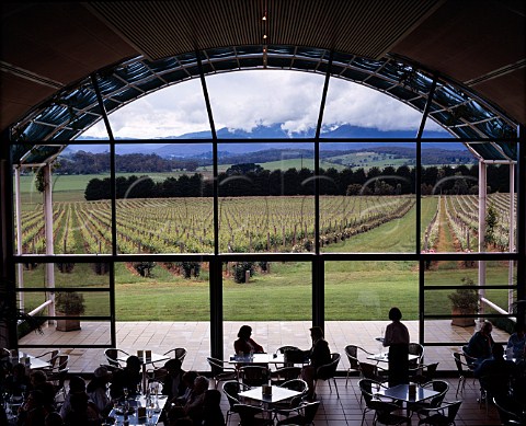 View onto the vineyards from the tasting room at   Green Point the Australian operation of Champagne   makers Mot et Chandon     Lilydale Victoria Australia   Yarra Valley