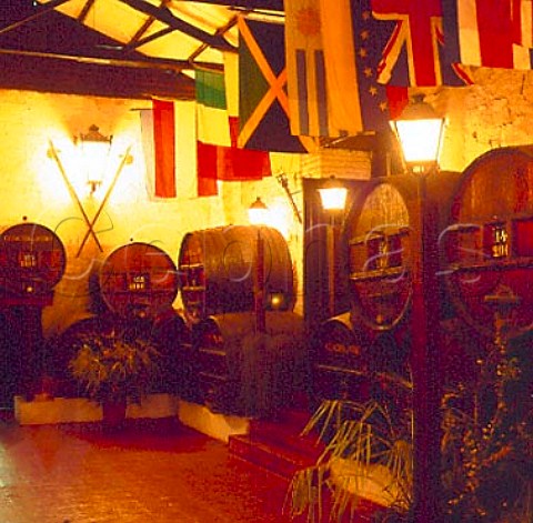 Historic barrel room of Concha y Toro   Pirque near Santiago Chile