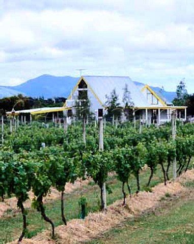 Dry River winery and vineyard Martinborough New   Zealand Wairarapa