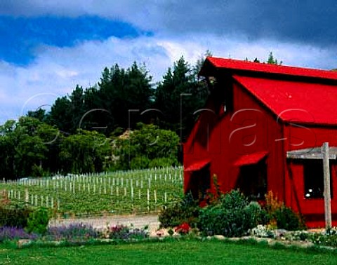 Gibbston Valley winery and vineyard Central Otago   New Zealand