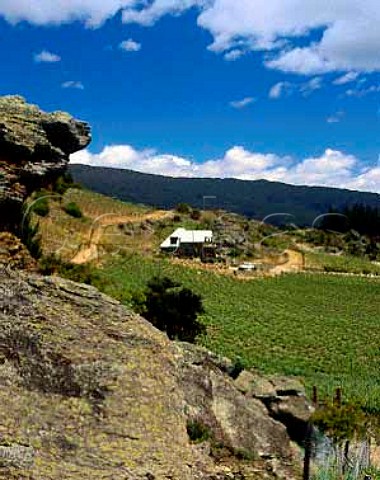 Black Ridge vineyard Central Otago New Zealand     The most southerly vineyard in the world
