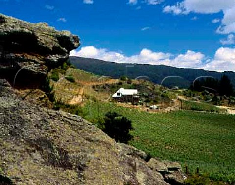Black Ridge vineyard Central Otago New Zealand     The most southerly vineyard in the world