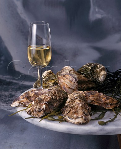 Glass of fino sherry with oysters