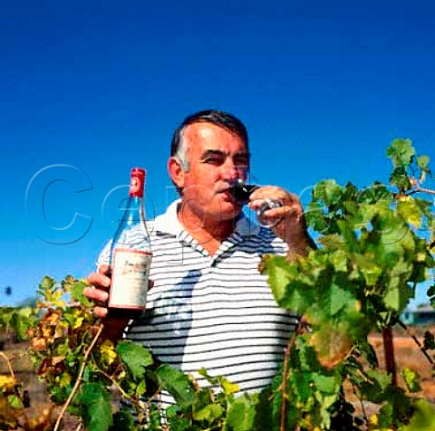 Dennis Hornsby of Chateau Hornsby in his vineyard at   Alice Springs Northern Territory Australia