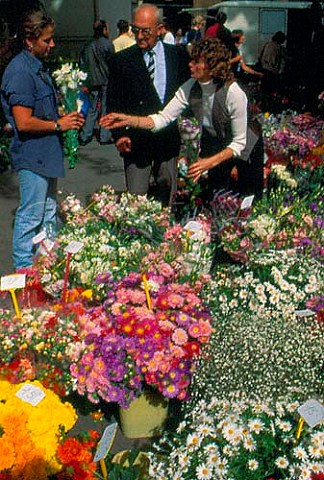Flower market at AixenProvence   BouchesduRhone France Provence