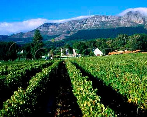 Klein Constantia Manor House and vineyard   Cape   Province South Africa Constantia WO