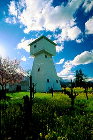 Springtime mustard in vineyard with   wooden water tower StHelena Napa   Valley California