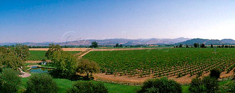 Far Niente vineyards Oakville Napa Co California