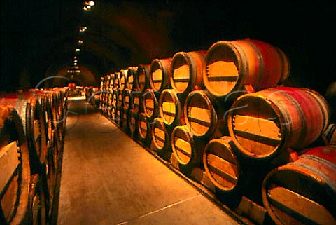 Barrel room of Far Niente winery   Oakville Napa Co California