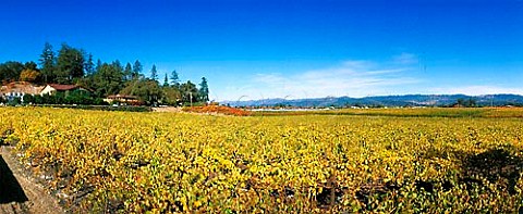 Flora Springs Winery and vineyard St Helena Napa Valley California