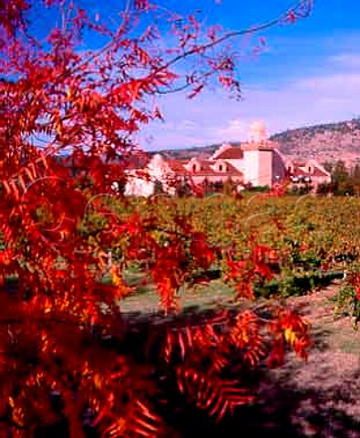 Autumn colours at Groth Winery Oakville Napa Co   California