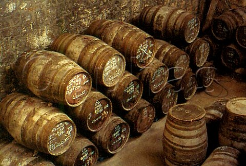 Barrels in Churchills Port lodge Vila   Nova de Gaia Portugal
