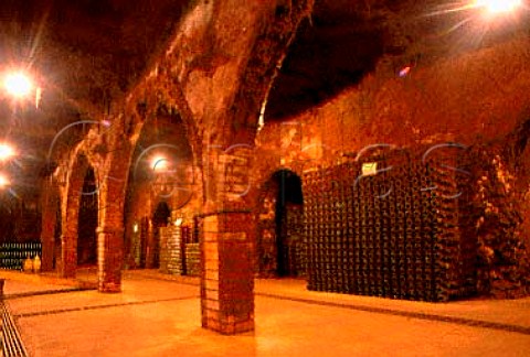 Cellar of Vale Cid Vale Santo Anadia   Portugal  Bairrada
