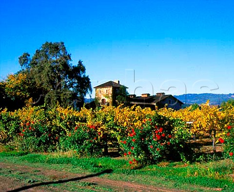 V Sattui Winery Saint Helena Napa Valley   California