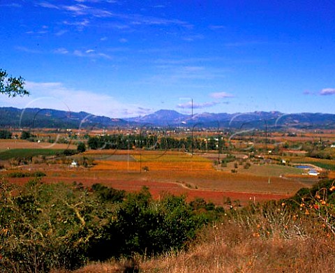 View north along Napa Valley with Mount StHelena in   the distance California