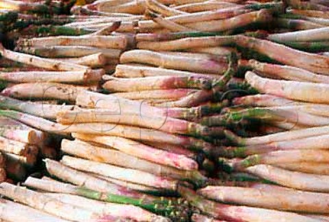 White asparagus spears