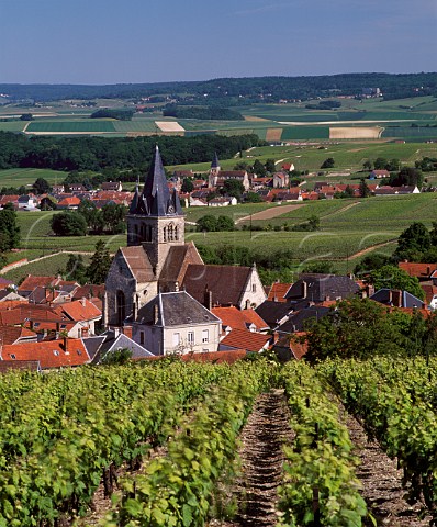 Villages of VilleDommange and Sacy on the Montagne   de Reims Marne France   Champagne