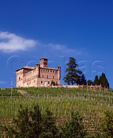 The 14thcentury castle at Grinzane Cavour above the cru Castello di Grinzane vineyard Piemonte Italy   Barolo