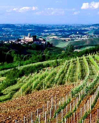 Castiglione Falletto viewed over vineyards at Perno   Piemonte Italy  Barolo