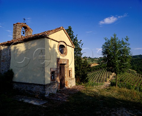 The 12thcentury Capella di Santo Stefano above the   cru Santo Stefano di Perno vineyard  Monforte dAlba Piemonte Italy  Barolo