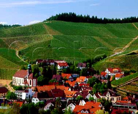 The Plauelrain vineyard above Durbach  Baden Germany  Grosslage Frsteneck