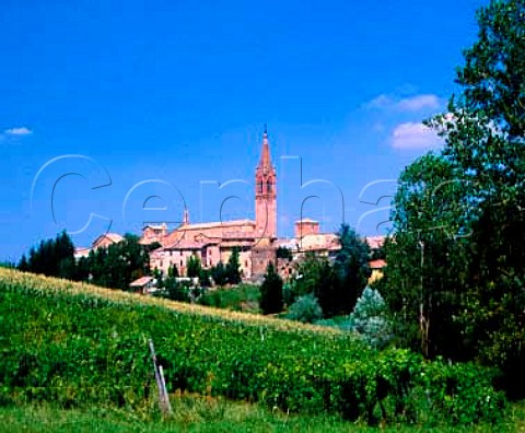 Vineyard by the medieval town of Castelvetro Emilia   Romagna Italy  Lambrusco Grasparossa di Castelvetro DOC
