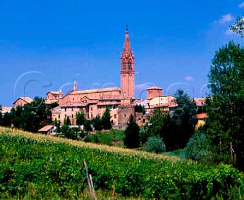 Vineyard by the medieval town of Castelvetro Emilia   Romagna Italy  Lambrusco Grasparossa di Castelvetro DOC