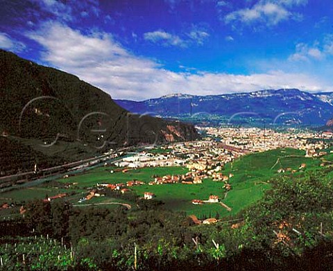 View over Bolzano from vineyards above the Isarco   river Alto Adige Italy    Santa Maddalena DOC
