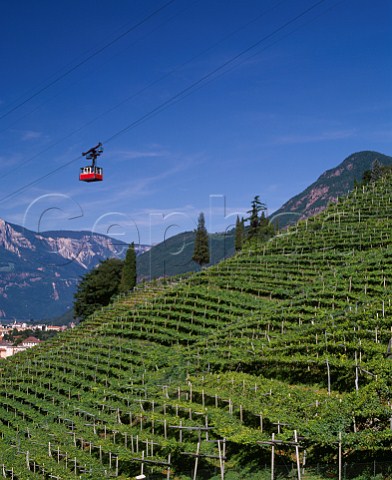 Cable car ascending to Soprabolzano over the  vineyards on the steep hillside above Bolzano Alto  Adige Italy Santa Maddalena Classico DOC