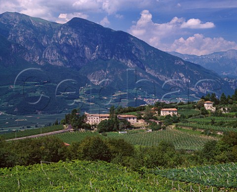 Maso di Villa Gentilotti vineyard of Ferrari above the Adige Valley planted with Chardonnay and Pinot Noir for  sparkling wines and Villa Gentilotti Chardonnay   Mattarello near Trento Trentino Italy