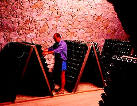Remueur at work in the sparkling wine cellars   of Pojer  Sandri    Faedo Trentino Italy