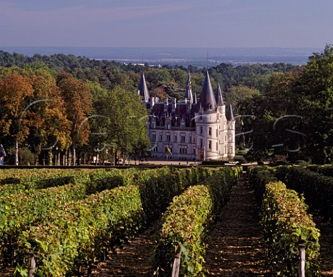 Chteau du Nozet and its Sauvignon Blanc vineyard PouillysurLoire Nivre France AC PouillyFum